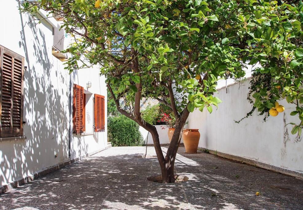 House In Cala Sant Vicenc Close To The By Renthousing *